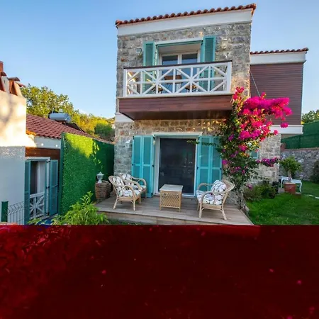Familia Selimiye (Aegean)